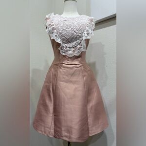 Chic Lace-Accented Mini Dress in Blush